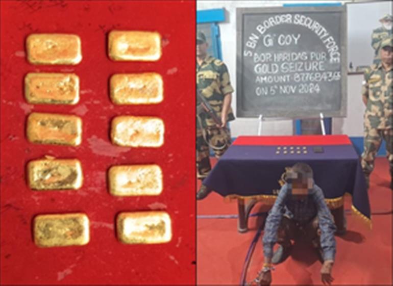 Over 1 kg gold seized by BSF along Indo-Bangladesh border, smuggler nabbed